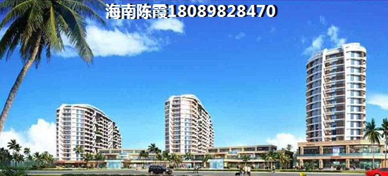 金御天下实景图